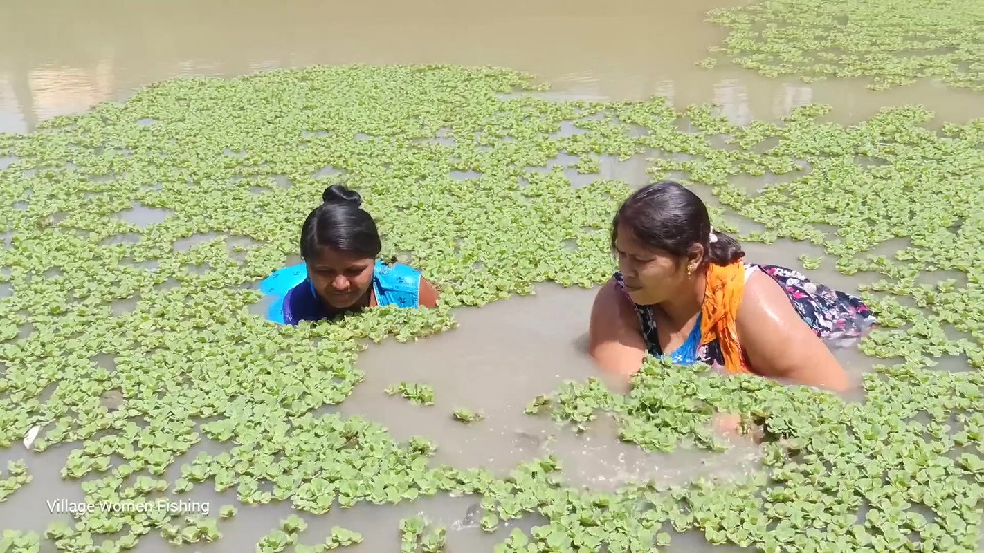 Village women fishing video   Amazing Mouni fishin