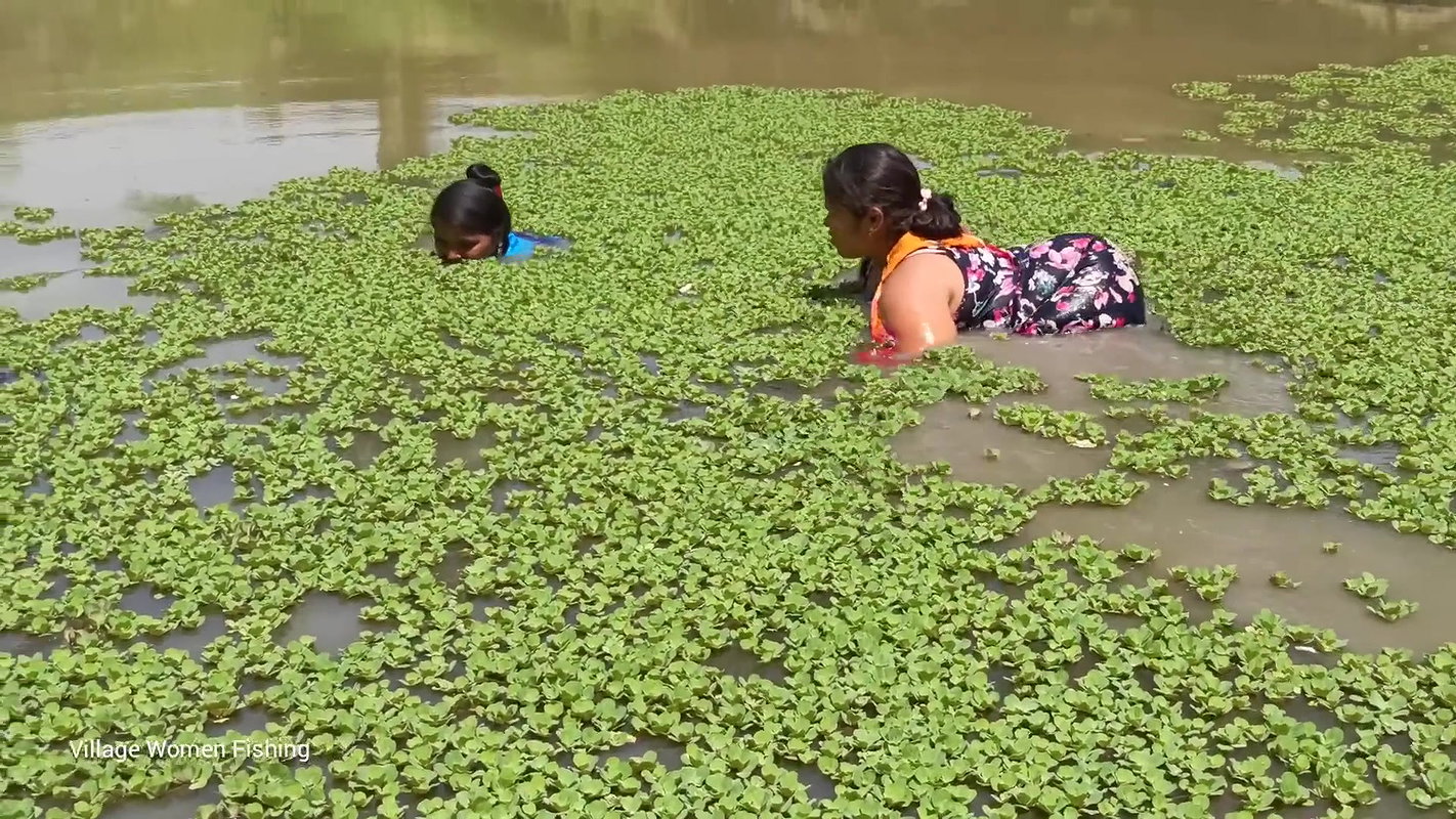Village women fishing video   Amazing Mouni fishin