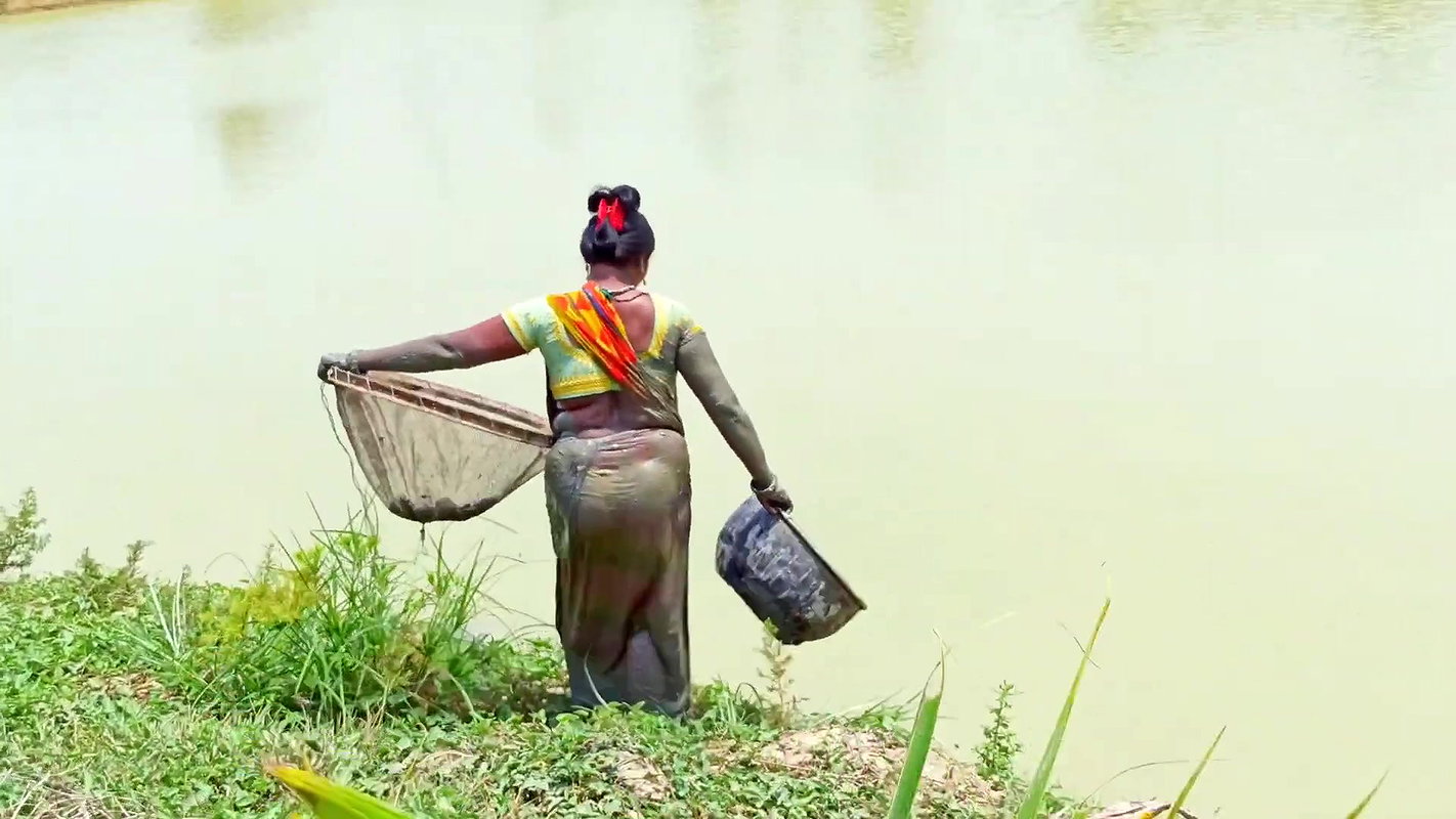 Village Women Fishing Video