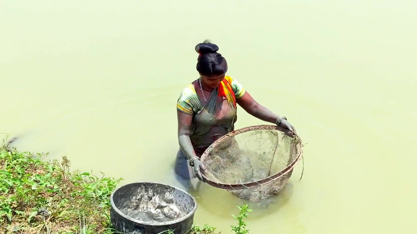Village Women Fishing Video
