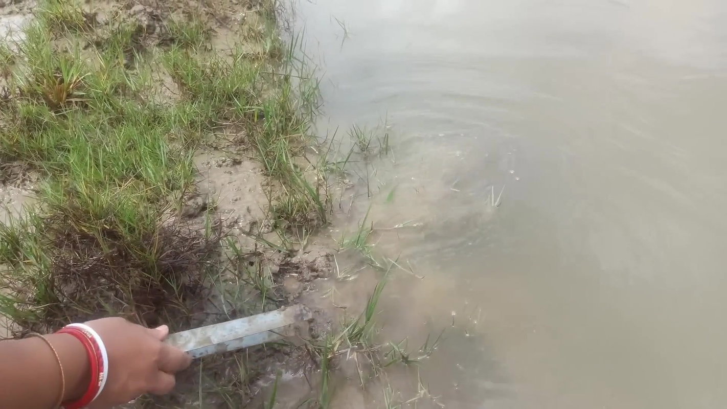 x Village women mud crab catching in the shore of Ba