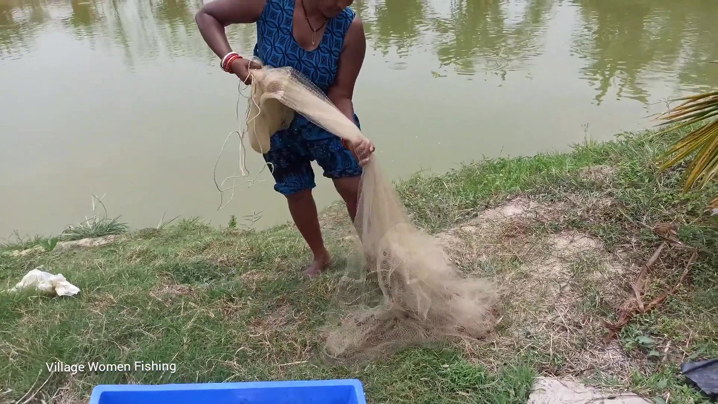 Village women net fishing in Village Pond   Lots o