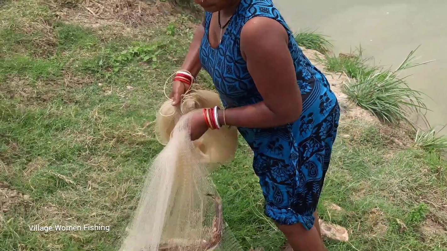 Village women net fishing in Village Pond   Lots o