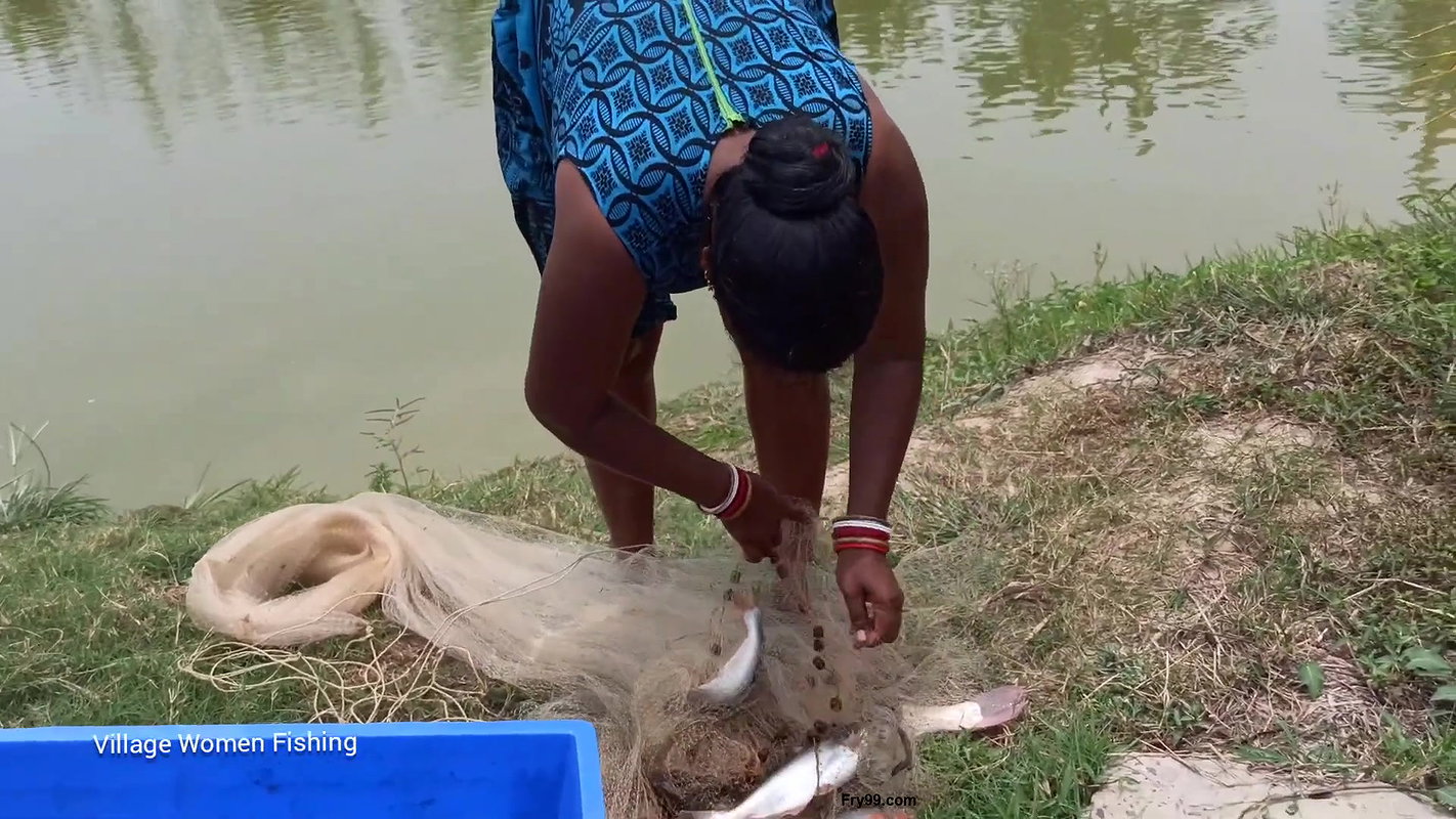 Village women net fishing in Village Pond   Lots o
