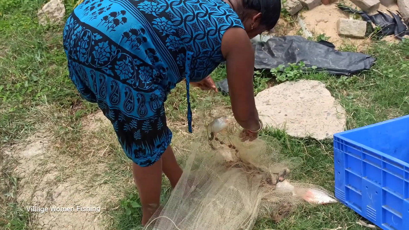 Village women net fishing in Village Pond   Lots o