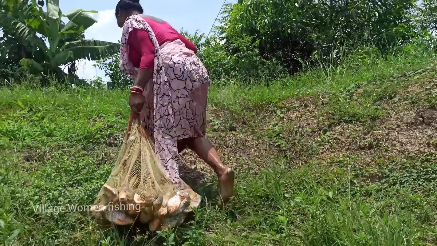 Village Women Net fishing   full Net Paku fish