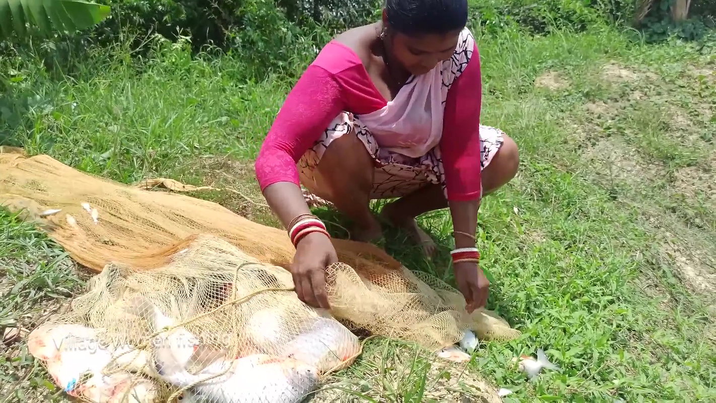Village Women Net fishing   full Net Paku fish