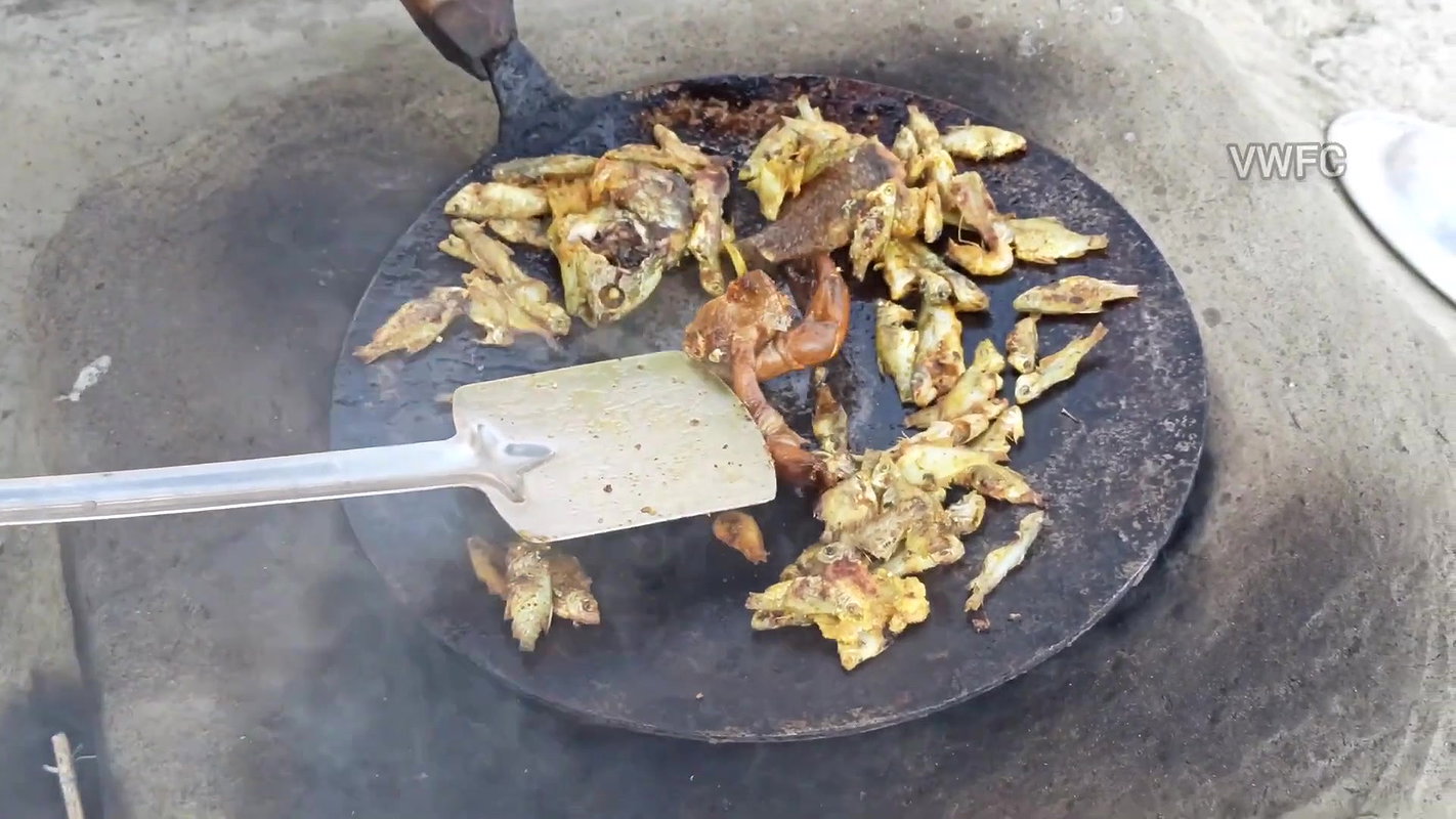 Village Women Net Fishing