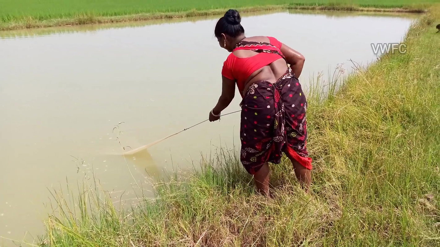 Village Women Net Fishing