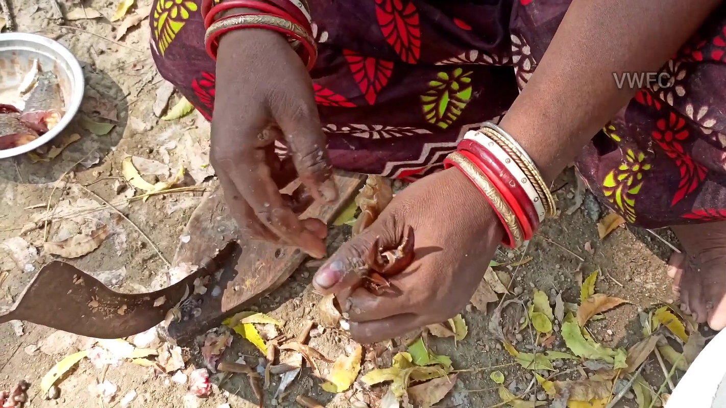 Village Women Net Fishing