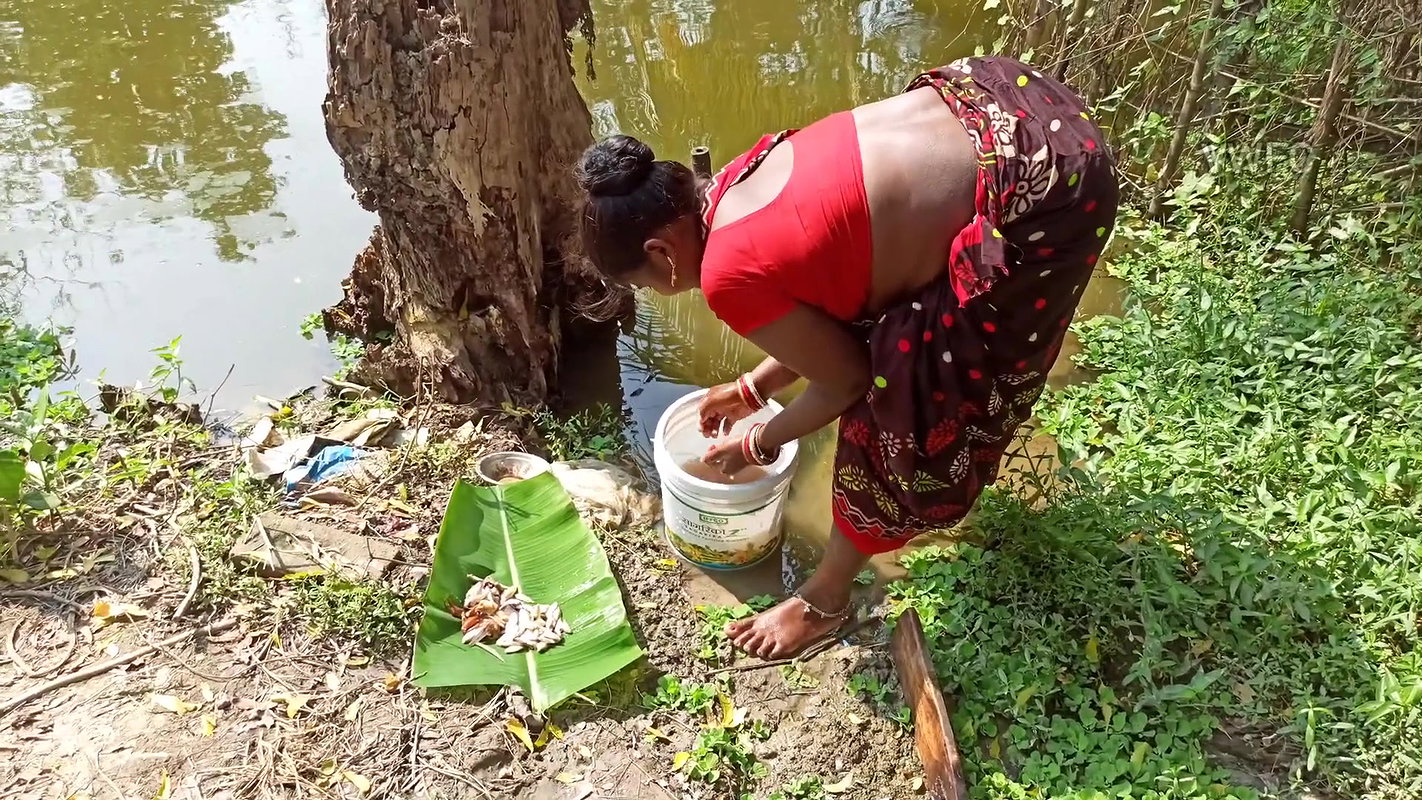 Village Women Net Fishing