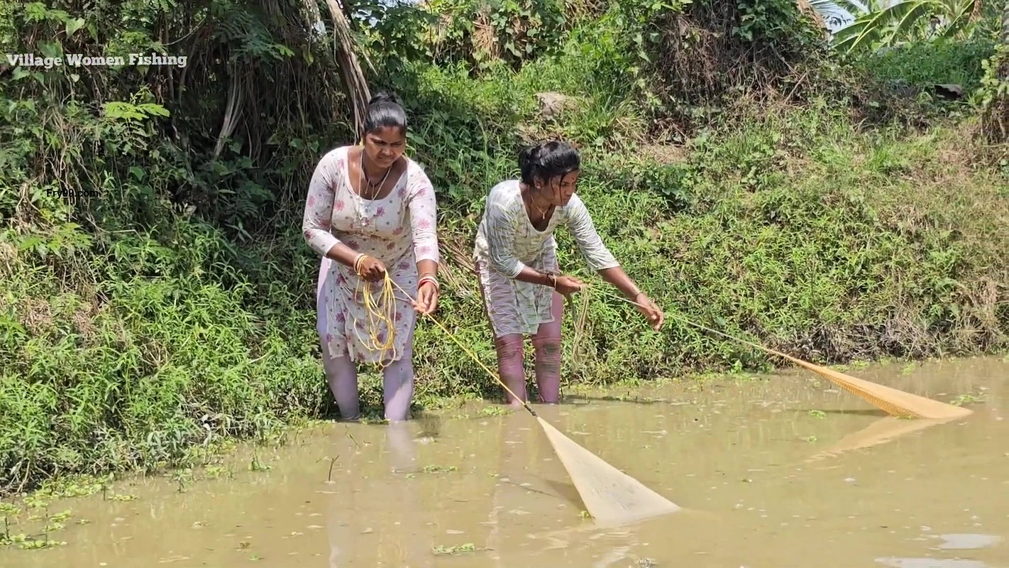 Village Women New Amazing Net Fishing video    Mou