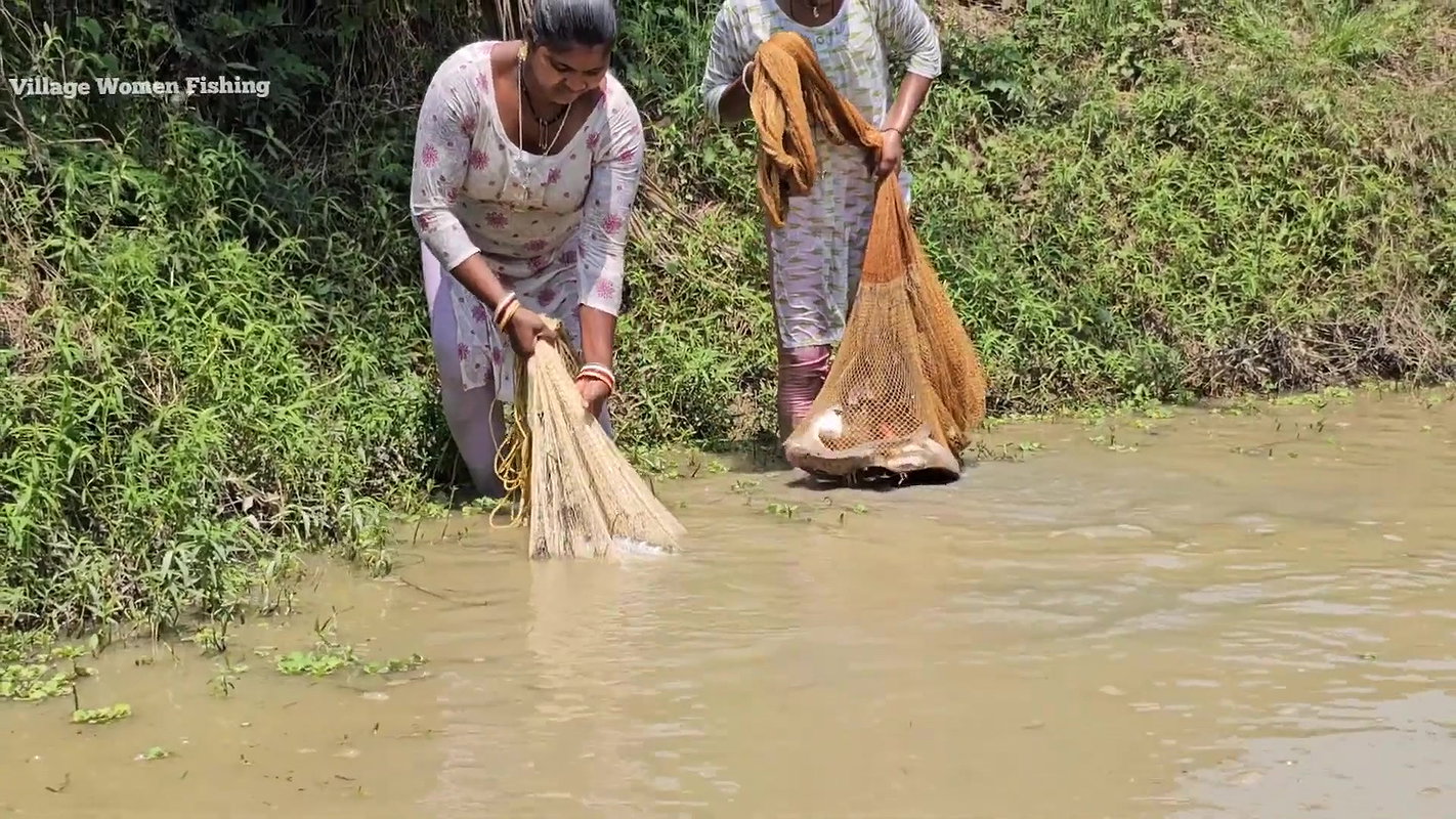 Village Women New Amazing Net Fishing video    Mou