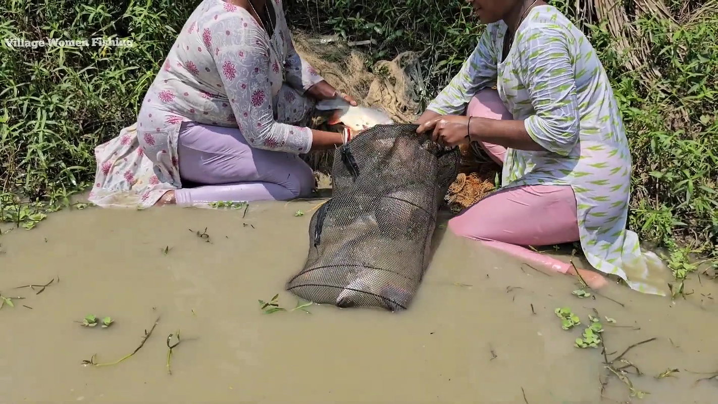 Village Women New Amazing Net Fishing video    Mou