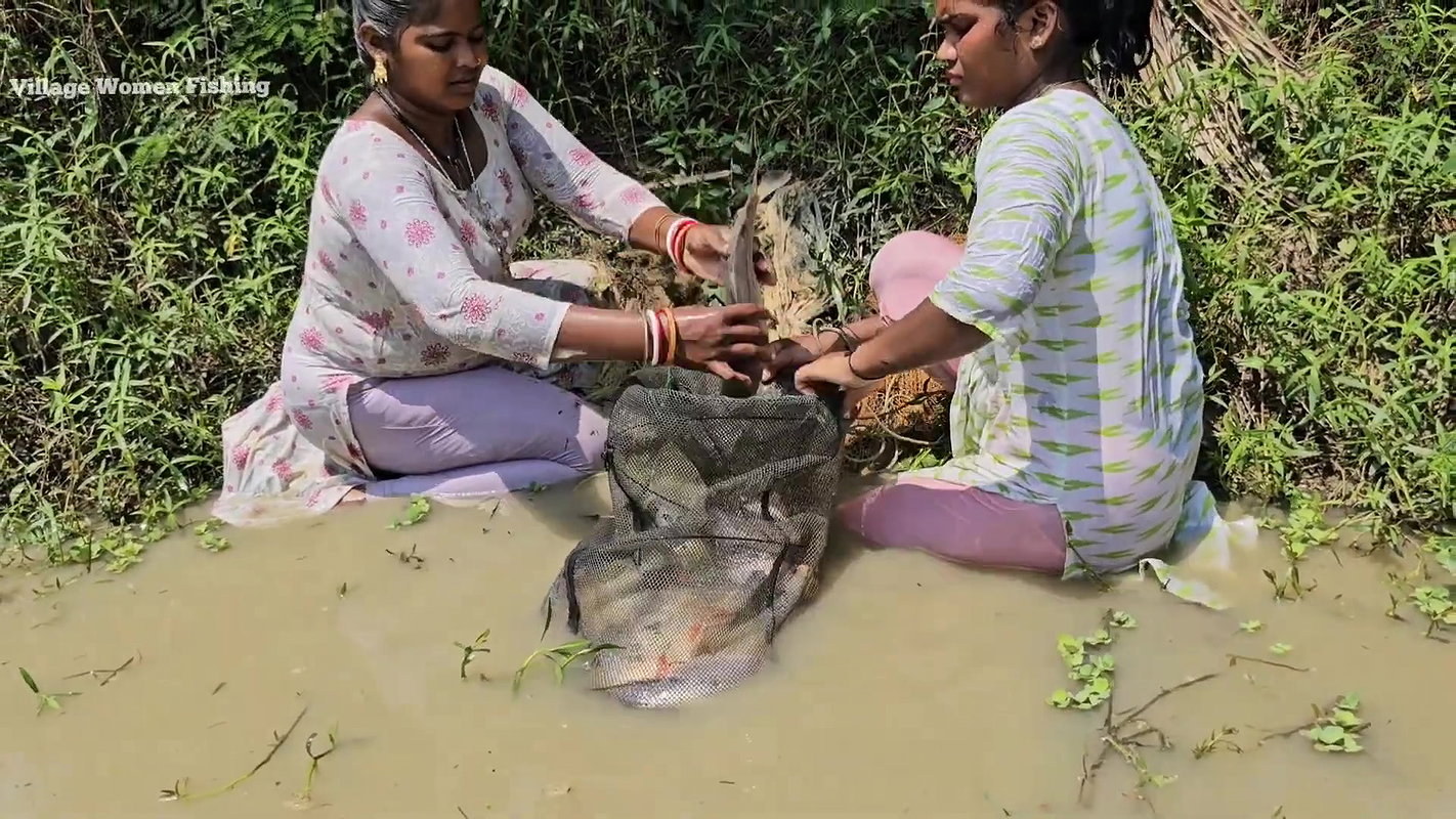 Village Women New Amazing Net Fishing video    Mou