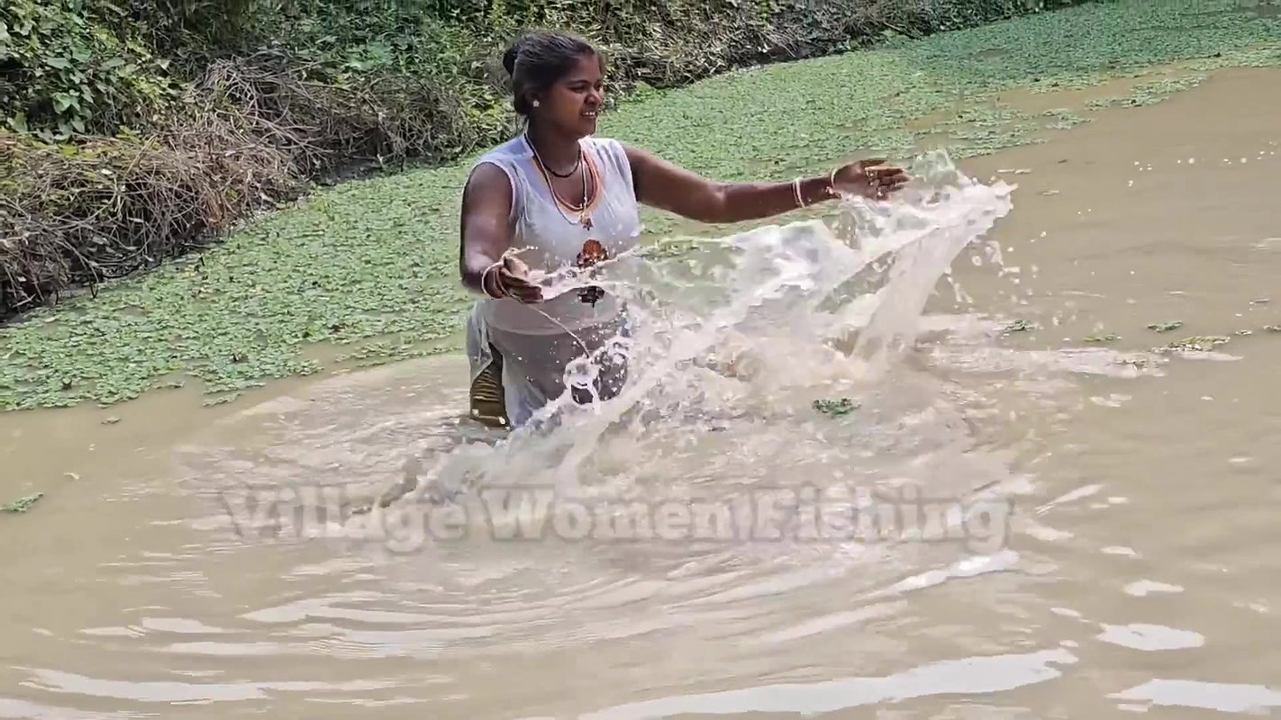 Village Women New Net fishing video    Mouni Fishi
