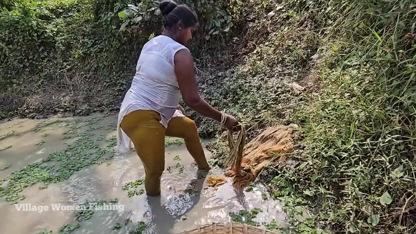 Village Women New Net fishing video    Mouni Fishi
