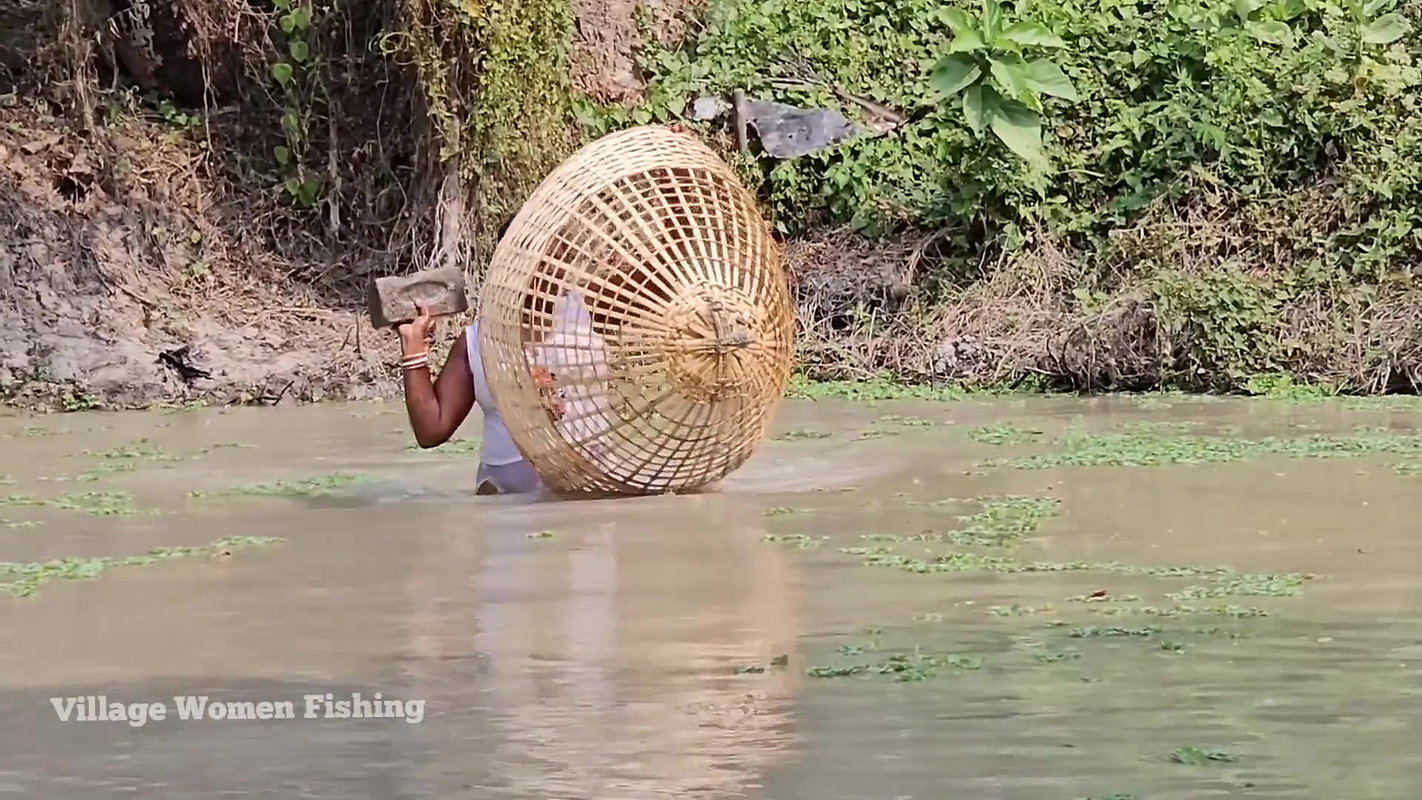 Village Women New Net fishing video    Mouni Fishi