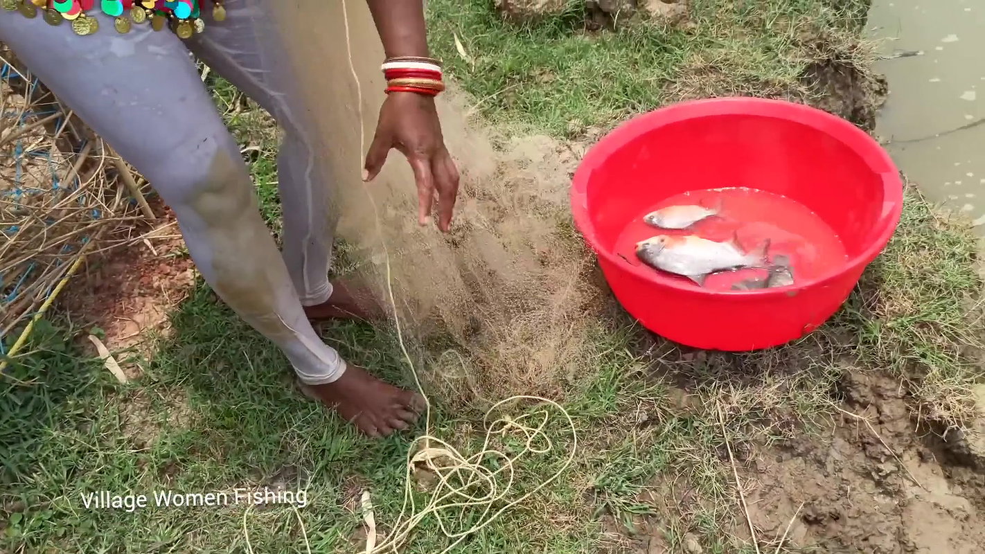 Viral village women net fishing video    village w