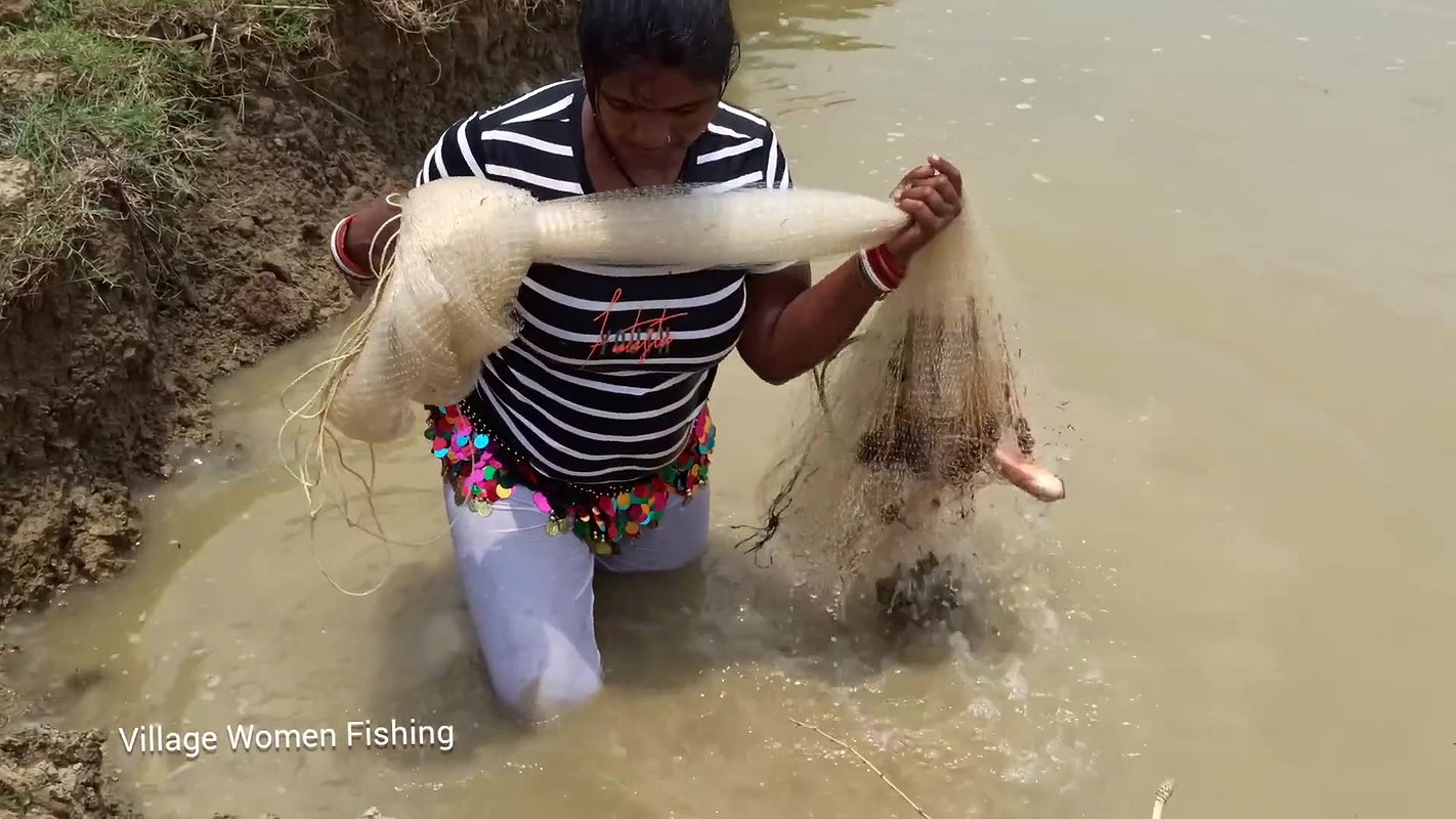 Viral village women net fishing video    village w