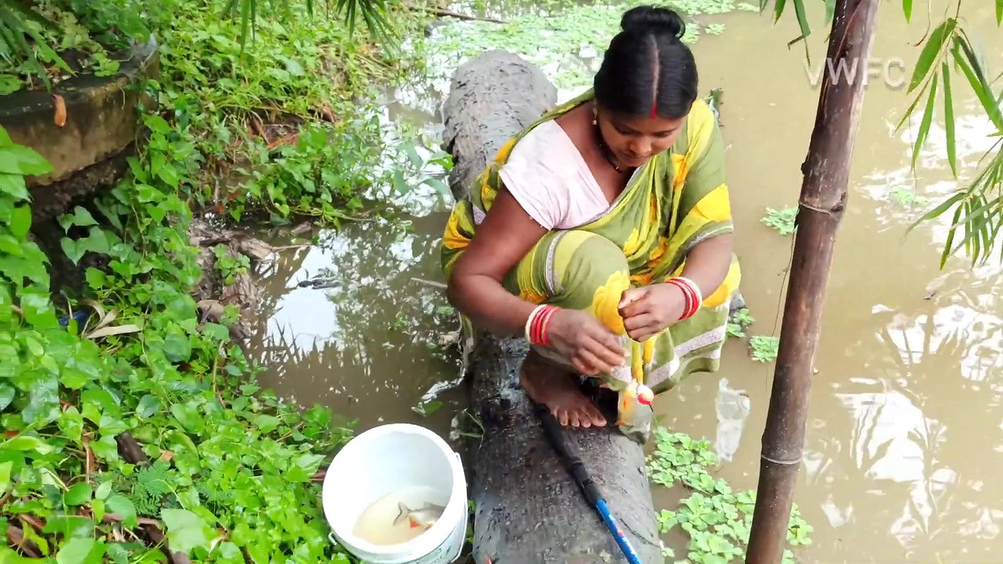 Village Women New Net fishing video 1