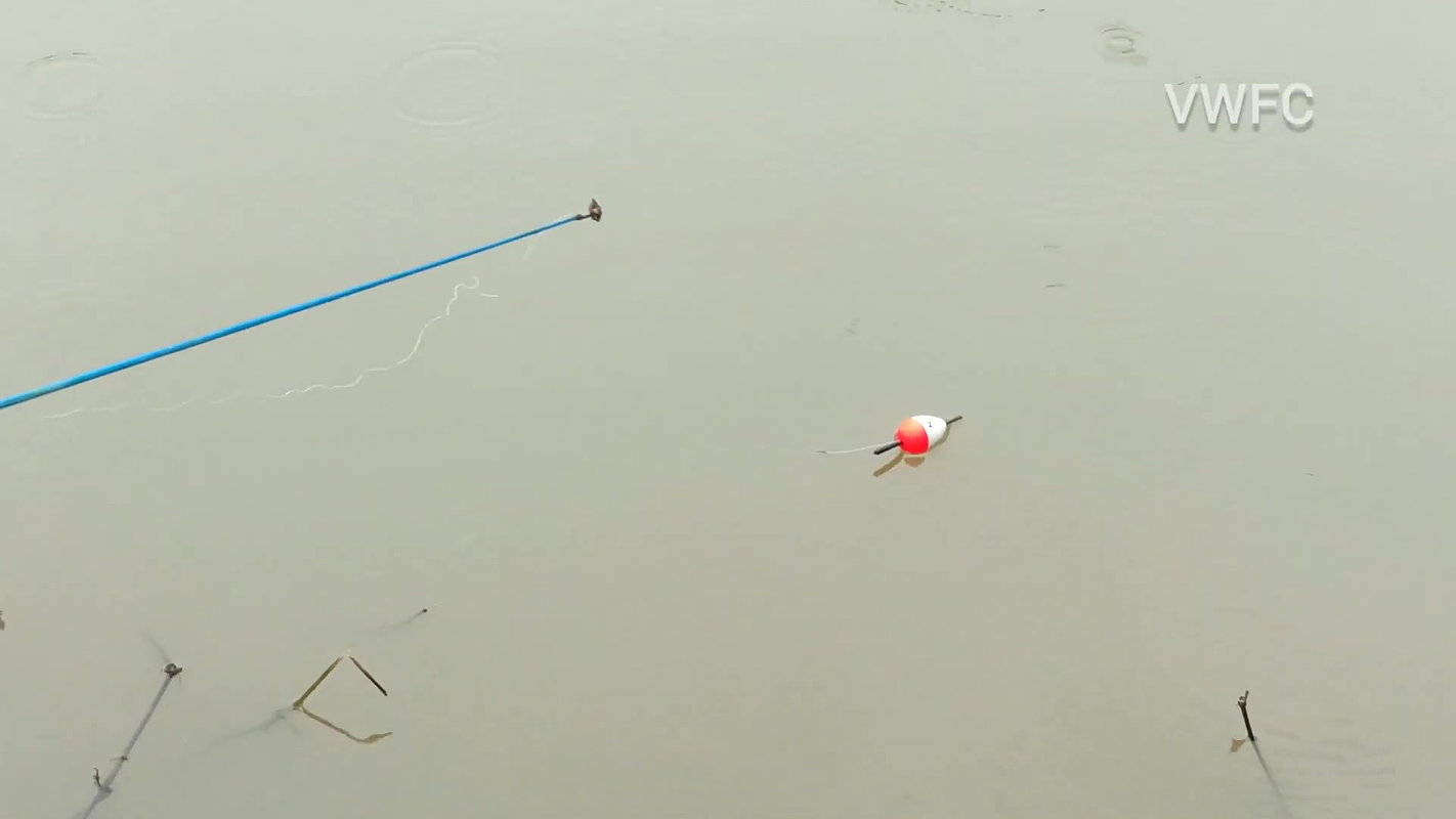 Village Women New Net fishing video 1