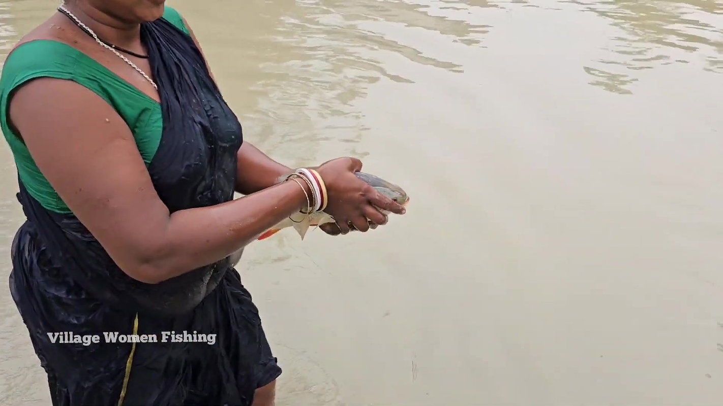 x   Village Women New Net fishing video 2