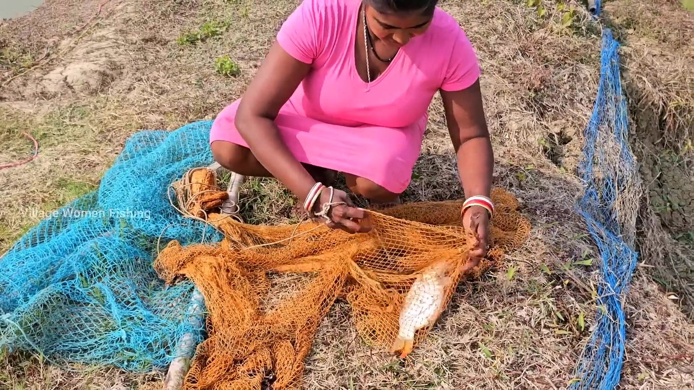 Village Women New Net fishing video 4