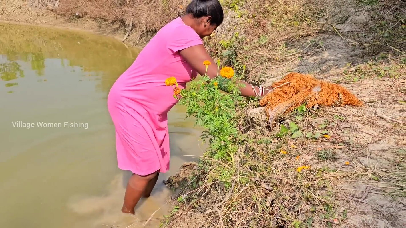 Village Women New Net fishing video 4