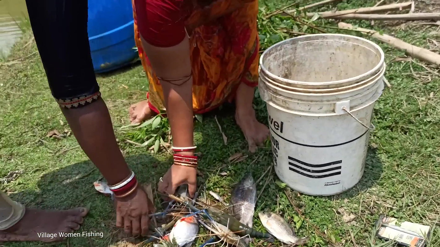 Village Women New Net fishing video 7