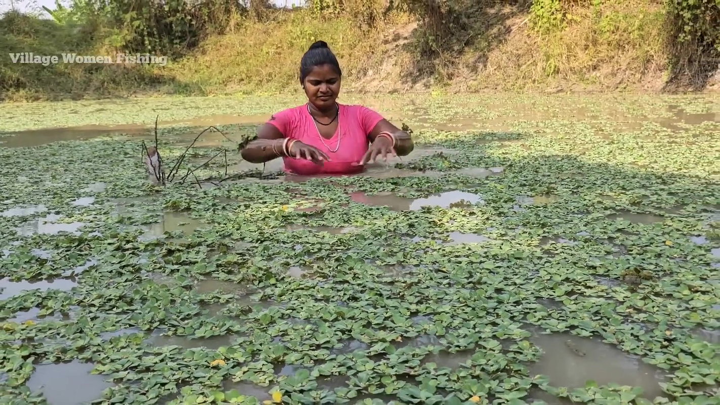 Village Women New Net fishing video 8