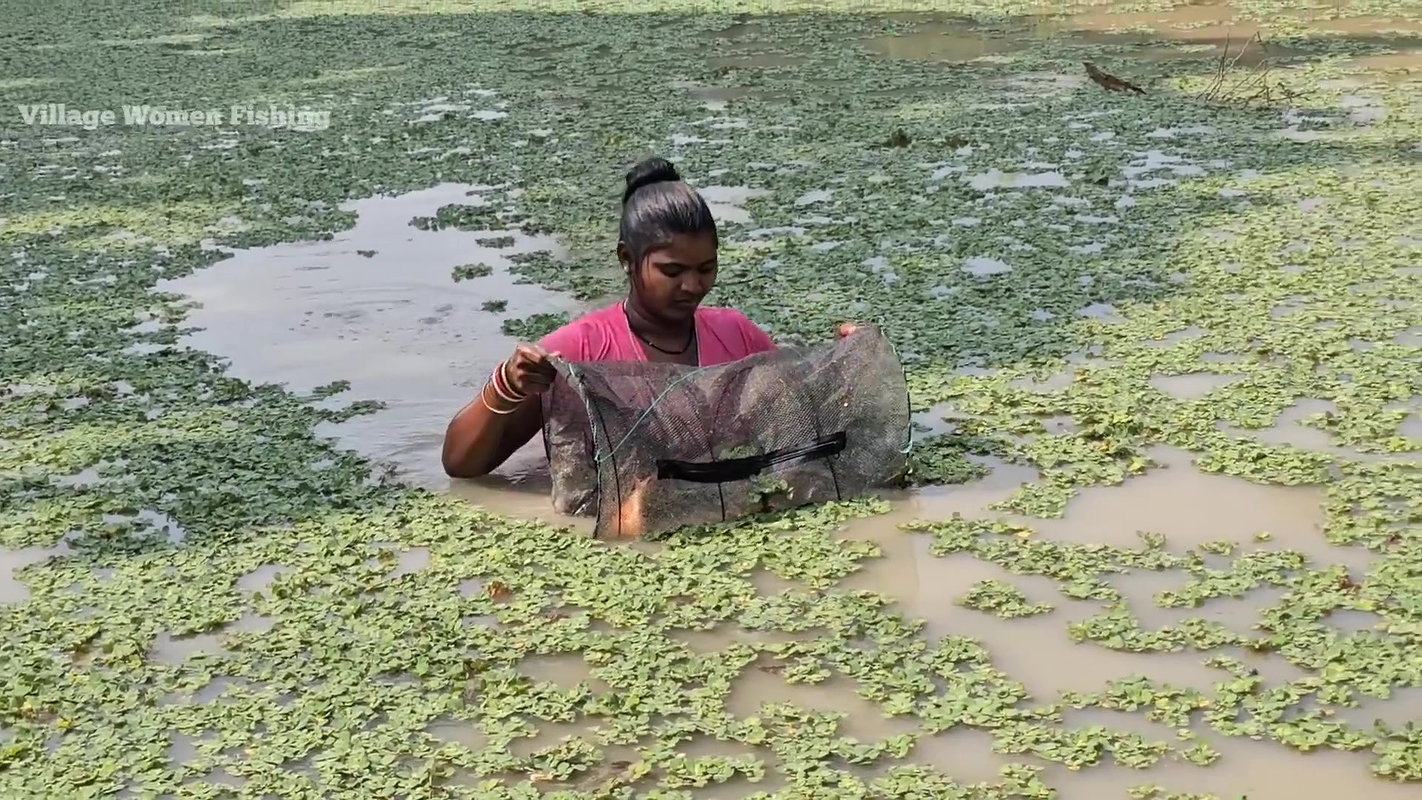 Village Women New Net fishing video 8