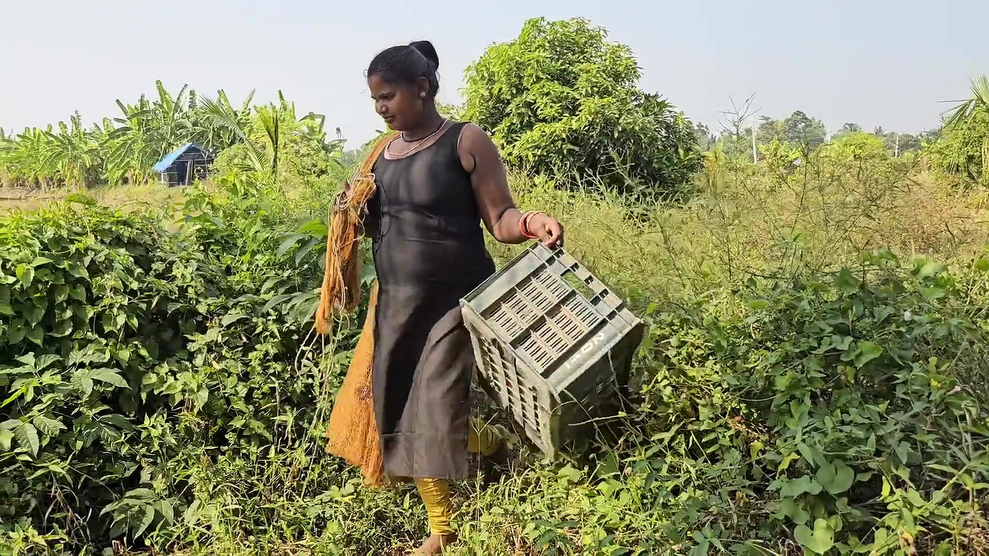 Village Women New Net fishing video 9