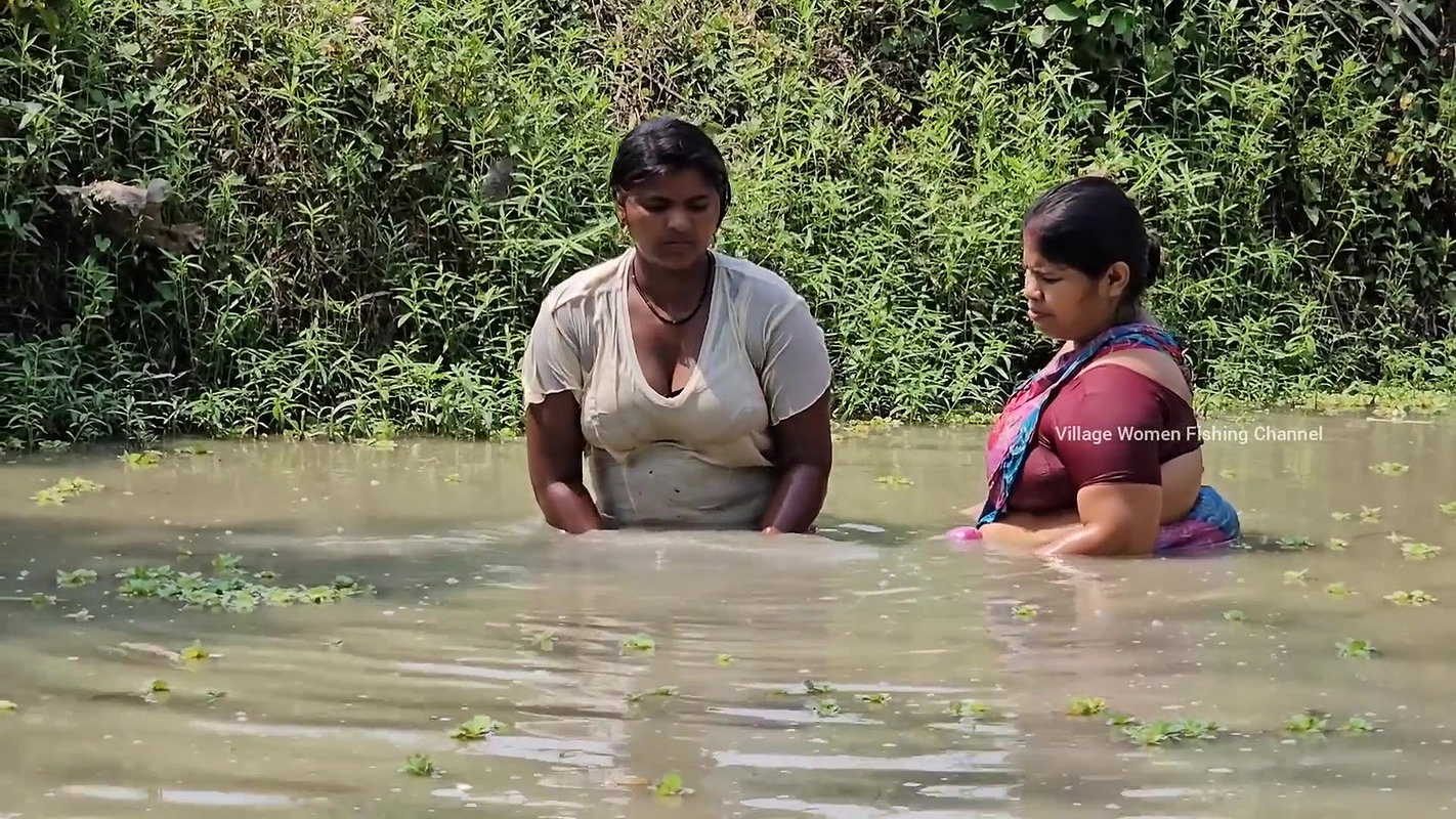 Village Women New Net fishing video 10