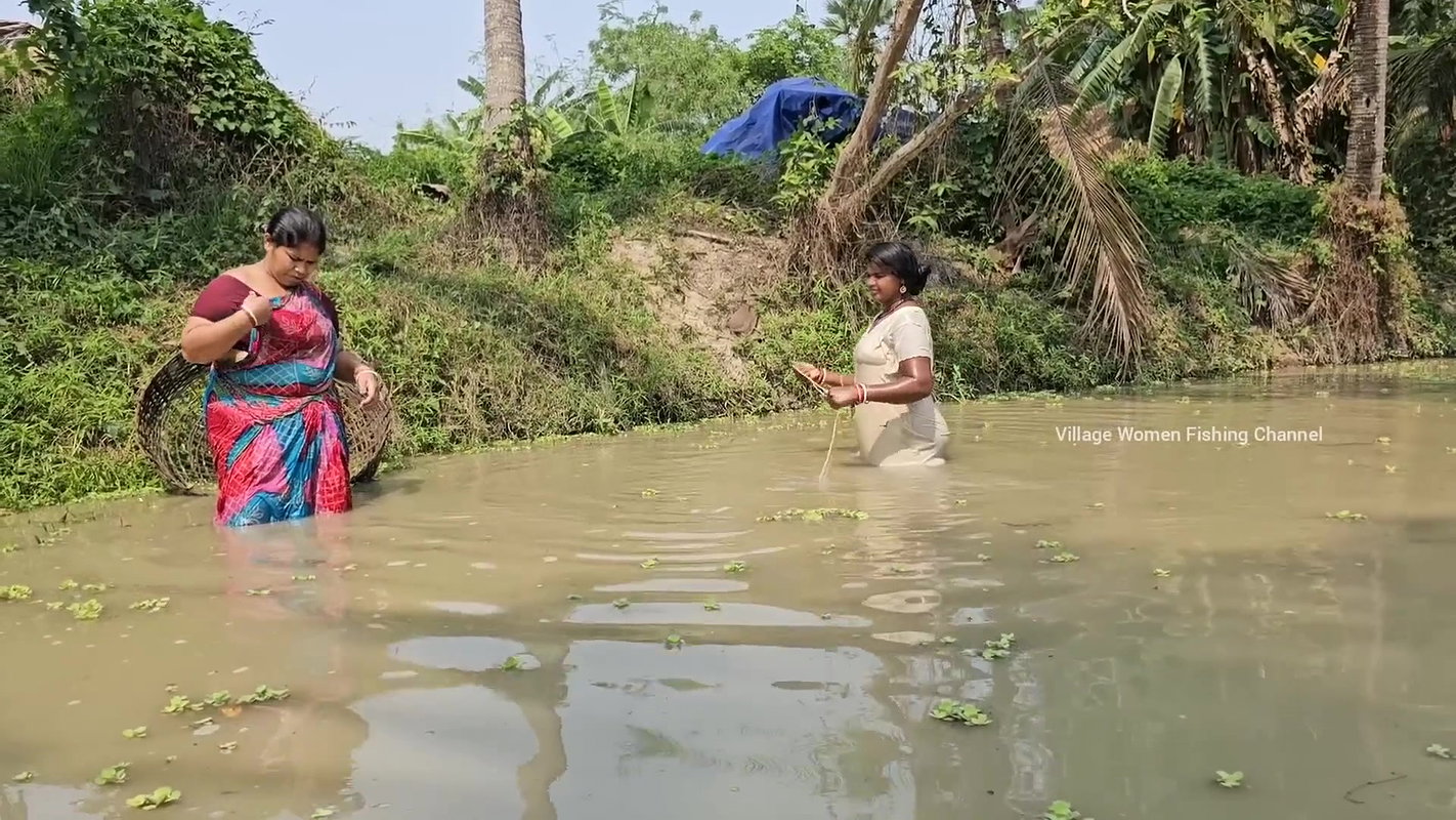 Village Women New Net fishing video 10