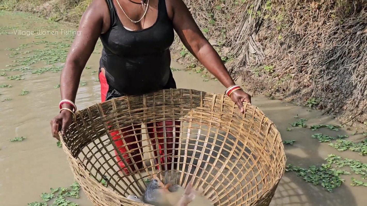 Village Women New Net fishing video 11