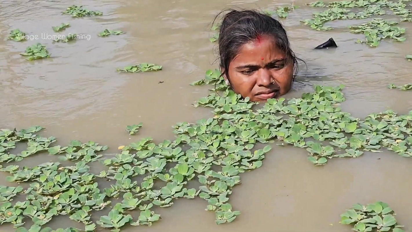 Village Women New Net fishing video 11