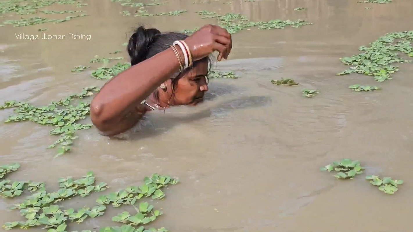Village Women New Net fishing video 11