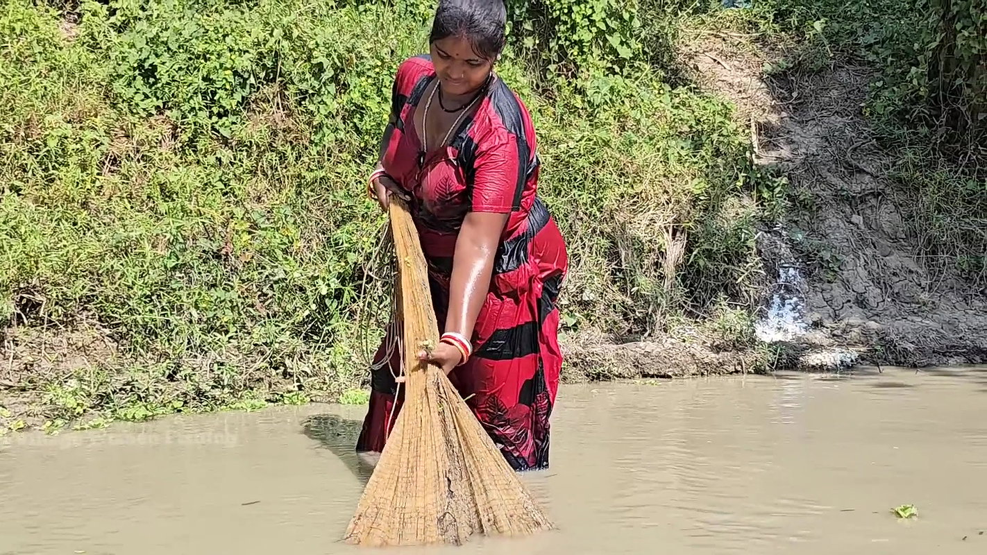 Village Women New Net fishing video 12