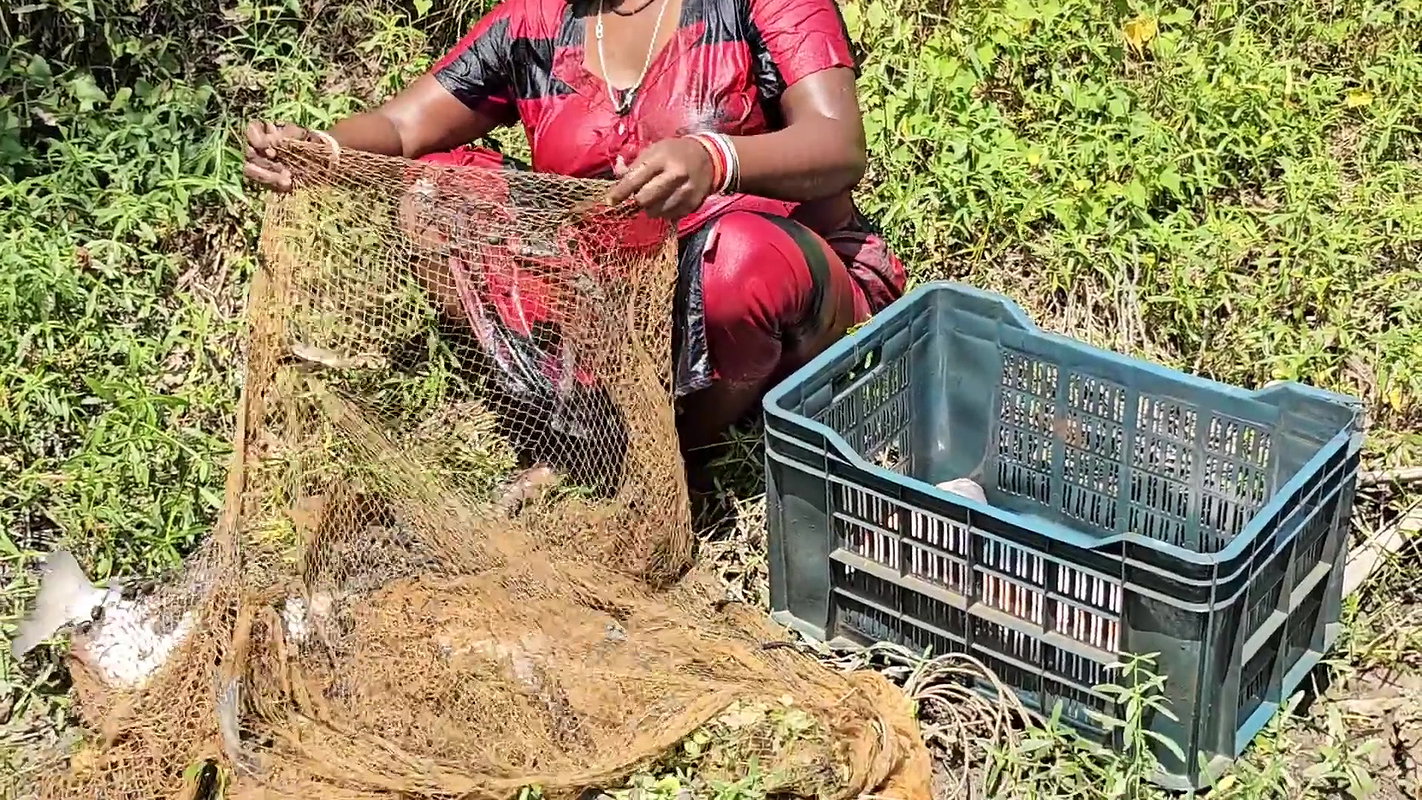 Village Women New Net fishing video 12