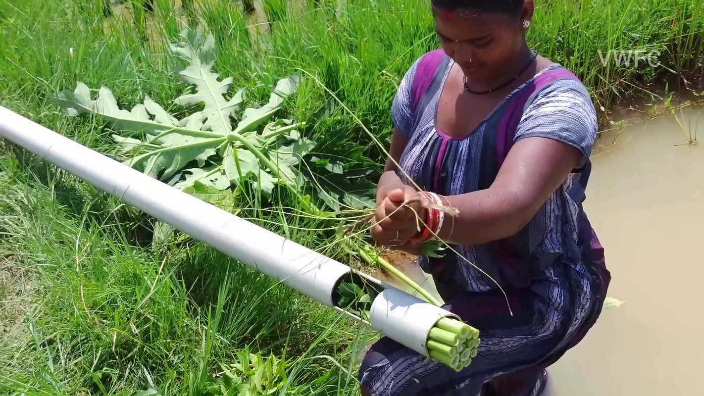 Village Women New Net fishing video 13
