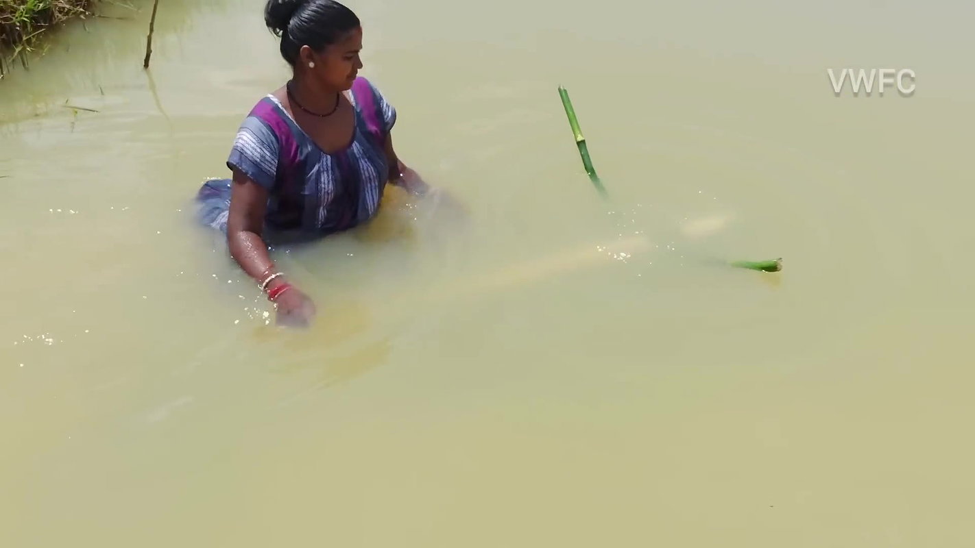 Village Women New Net fishing video 13