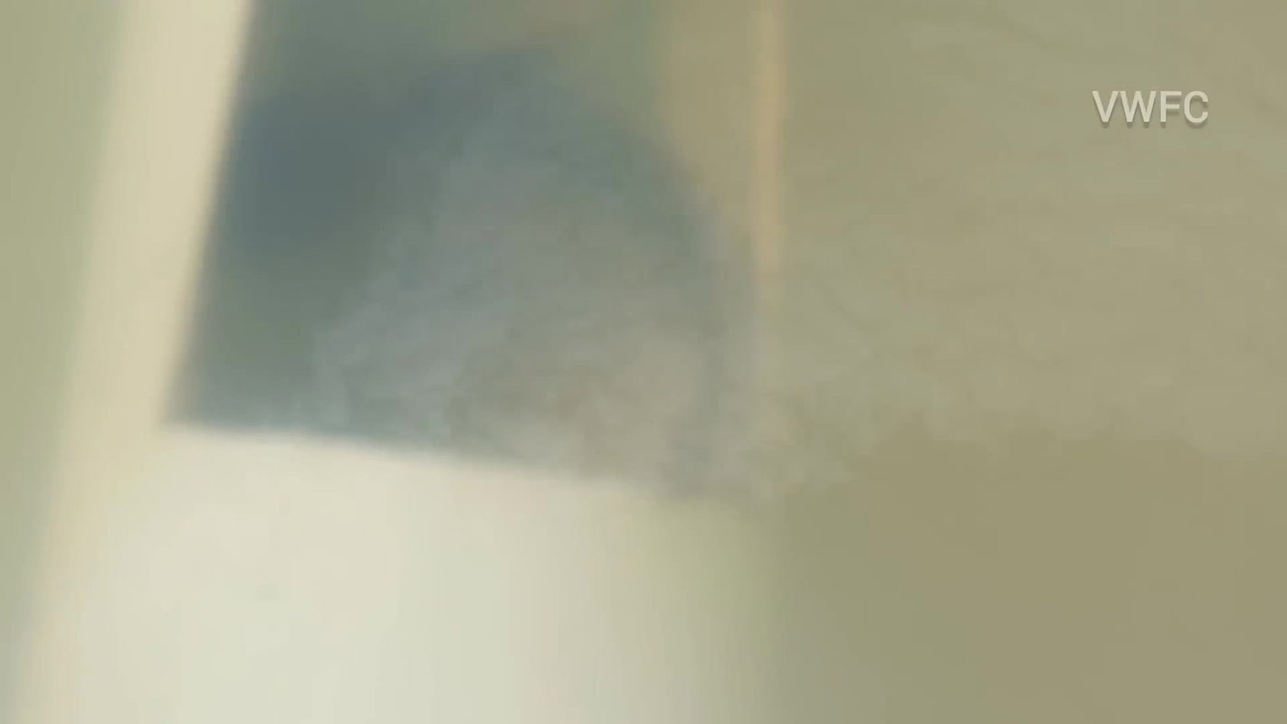 Village Women New Net fishing video 13