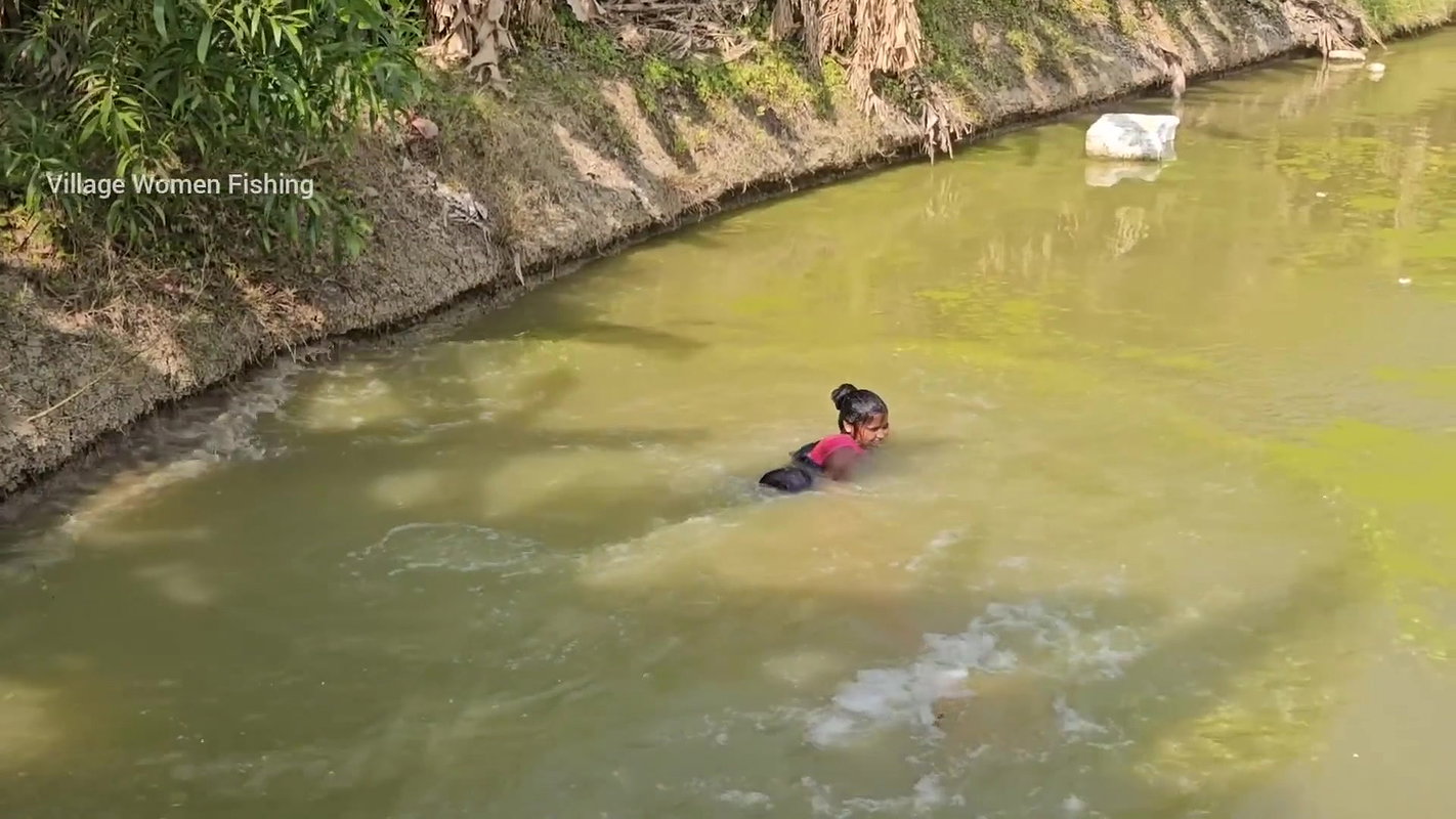 Village Women New Net fishing video 15