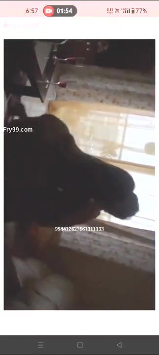 Kannada TV actress Jyothi Rai’s video