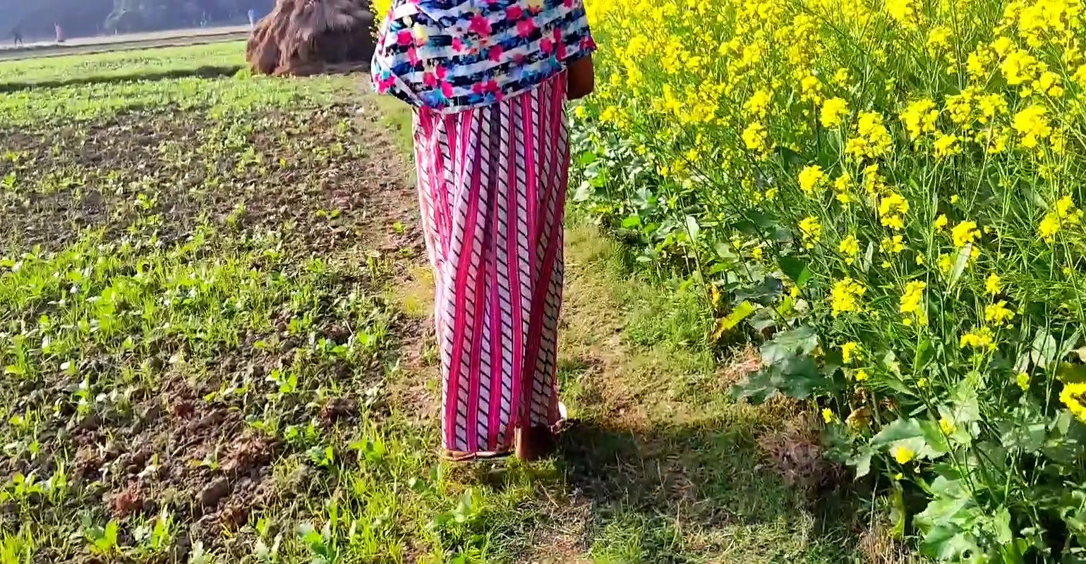 Bhabi did pissab in mustard cultivation !! Bangla boudi sorser khete pisab kore dilo re