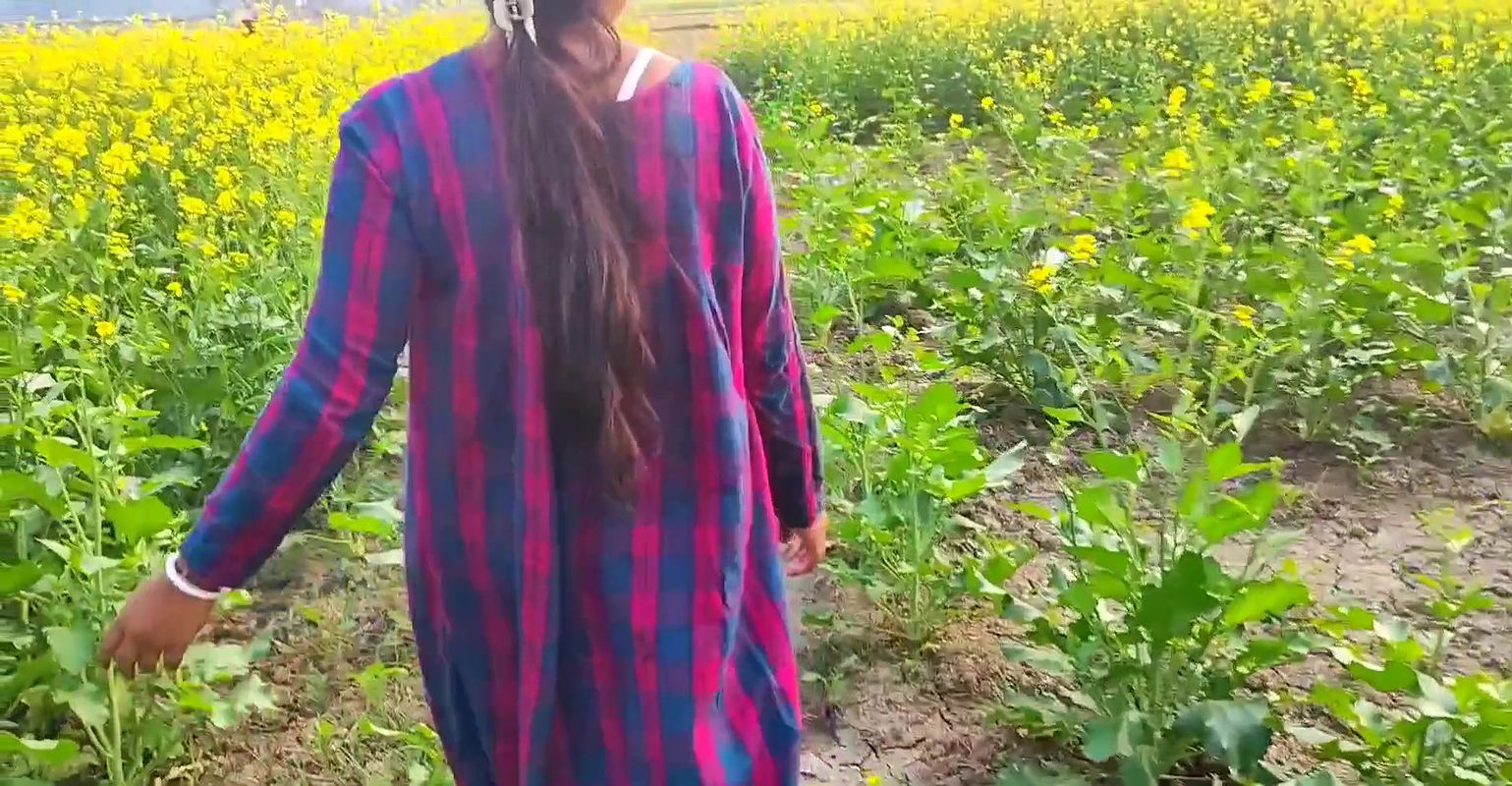 Sarso ki khet me bhabi ko pel diya !! Khet me bhabhi ko choda
