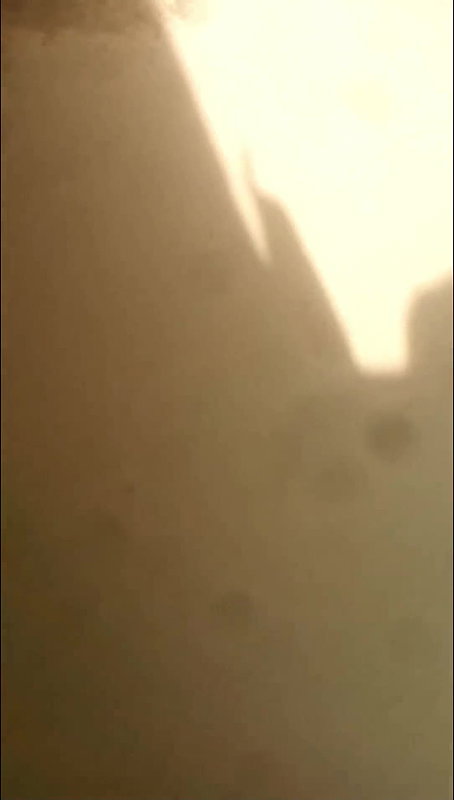 Desi village bhabi fucking outdoor