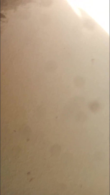 Desi village bhabi fucking outdoor