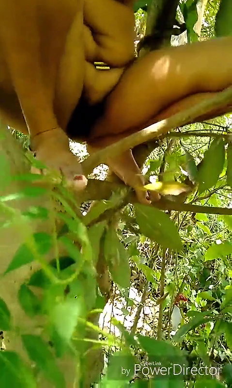 Part 2 I peed on a tree branch Bengali audio